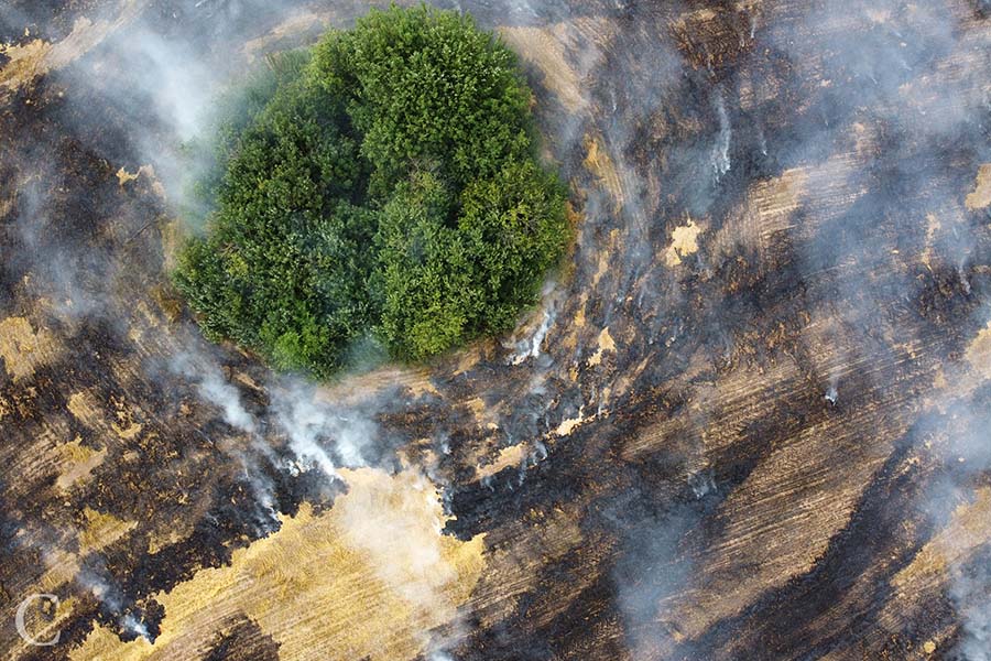 codice.uk - journalism