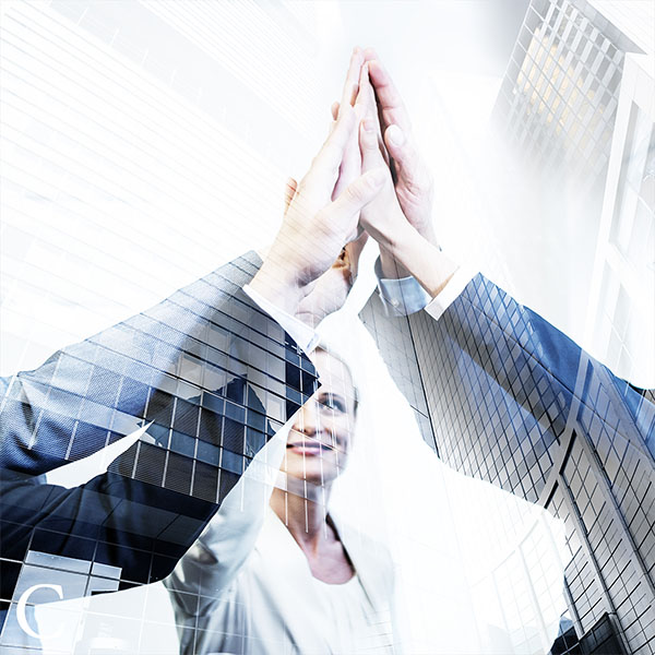 codice.uk - the company