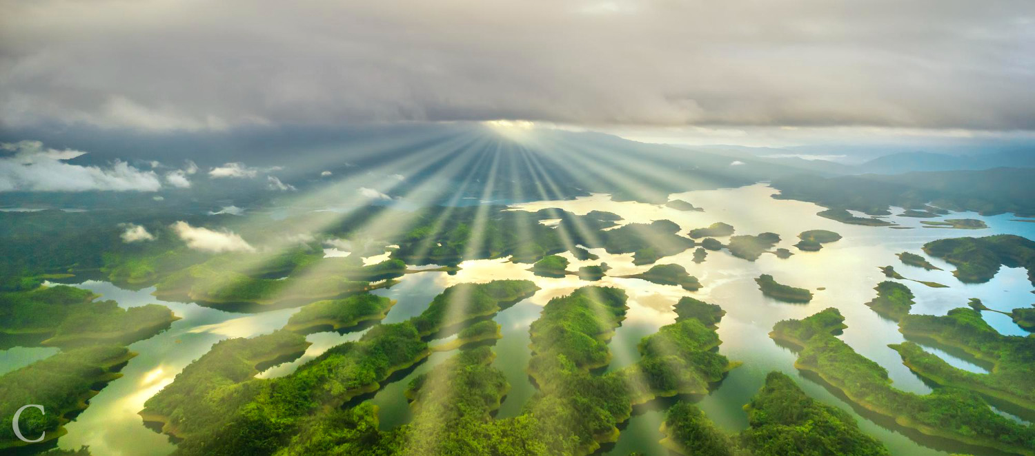 codice.uk - journalism