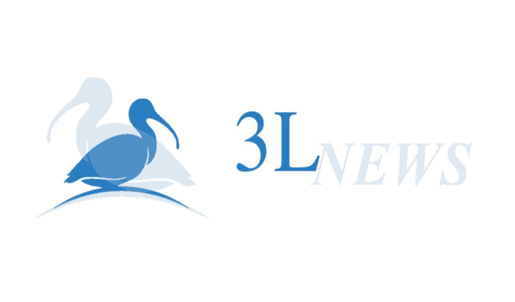 3lnews